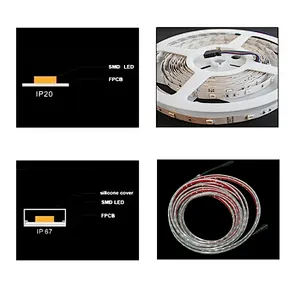DC24V IP20 IP67 RGB Smart LED Strip Lights